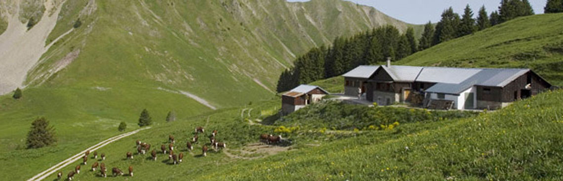 Les Aravis